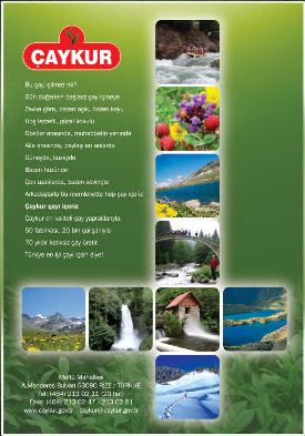 �aykur