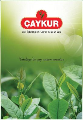 �aykur