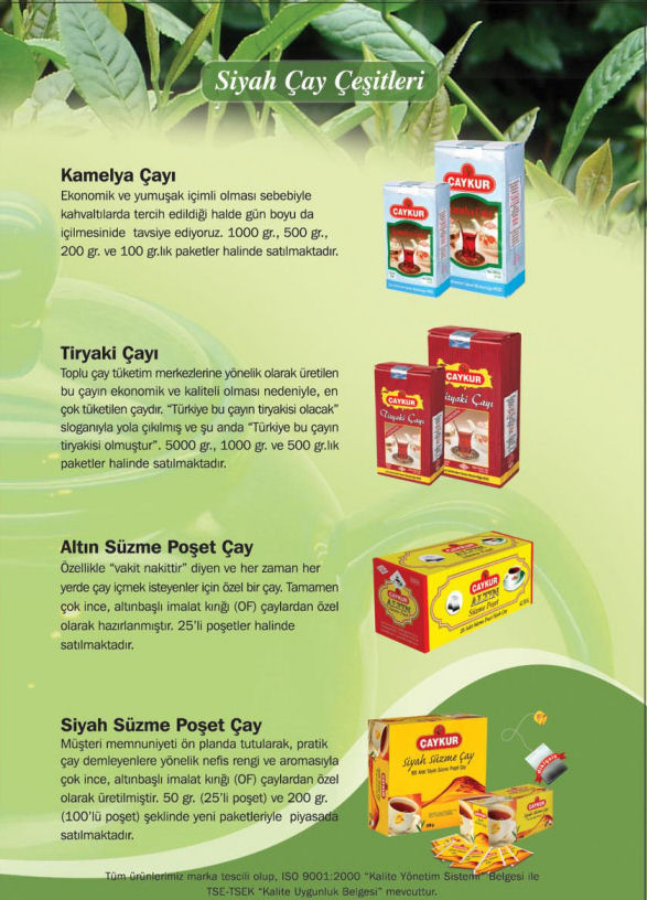 aykur