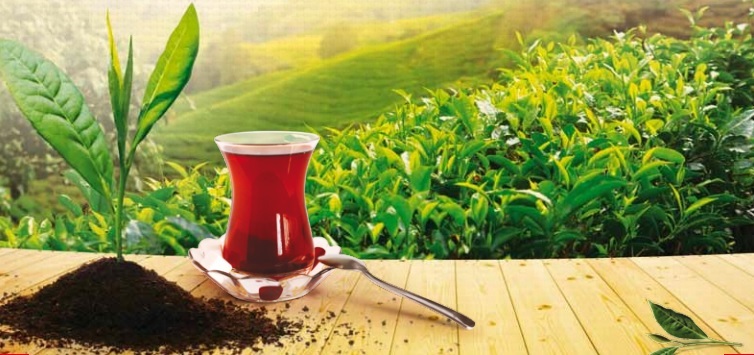 Türk Çayını Kimse Böyle Anlatamaz
